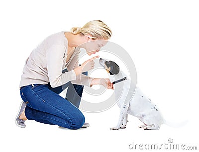 Woman, training and studio with dog or jack russell for silence, learning and care by white background. Girl, animal or Stock Photo