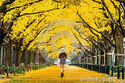 Woman traveler with backpack walking in Row of yellow ginkgo tree in autumn. Autumn park in Tokyo, Japan. Stock Photo