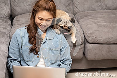 Woman typing and working on laptop with dog Pug breed lying on her knee Stock Photo