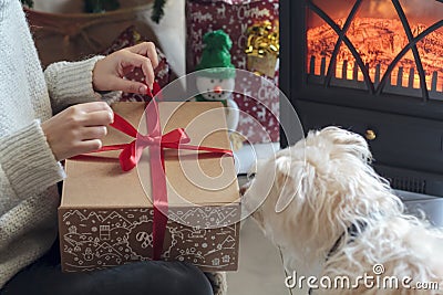 Woman unwrapping gift box next to Christmas tree Stock Photo