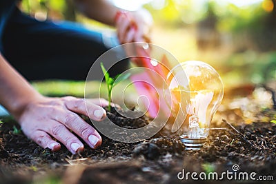 A woman using shovel to plant a small tree with a lightbulb glowing on the ground Stock Photo