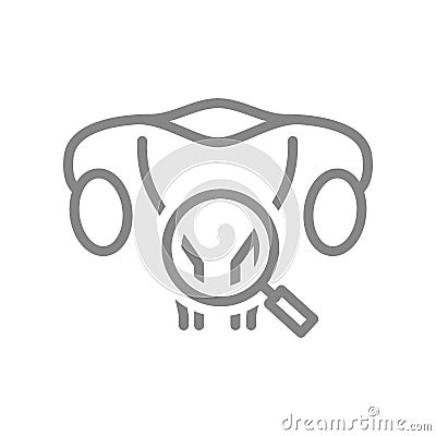 Woman uterus with magnifying glass line icon. Human organ research, disease prevention symbol Vector Illustration