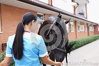 Woman veterinarian feeding horse from hand at ranch Stock Photo