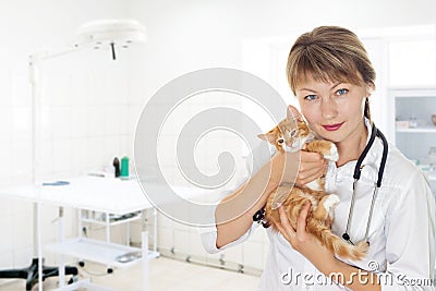 Woman veterinary doctor Stock Photo