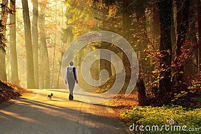 Woman walking in autumn forest Stock Photo