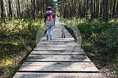 Woman walking dog on wooden pathway in the woods Stock Photo