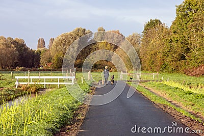 Woman walking four dogs in nature Editorial Stock Photo