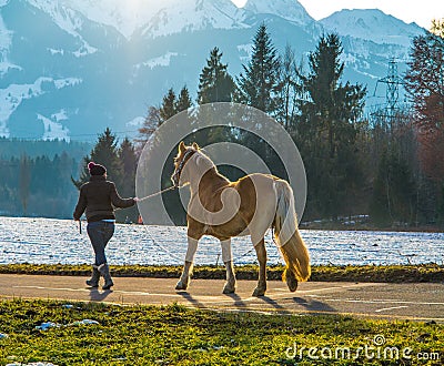 Woman walking horse Editorial Stock Photo