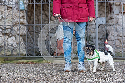 Woman is walking with a small cute obedient Jack Russell Terrier dog. Resting at a grotto with a saint figure Stock Photo