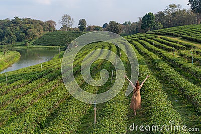 woman walking in tea plantation Stock Photo