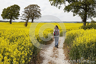 Woman walking through a yellow rapeseed field Stock Photo