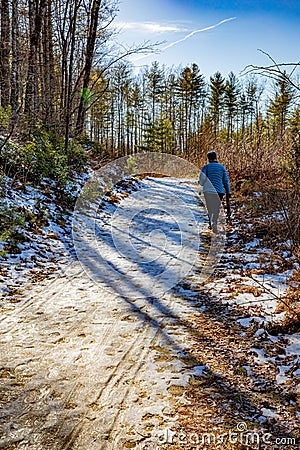 Woman walks through Dupont Forest on nice day in winter in North Carolina Editorial Stock Photo