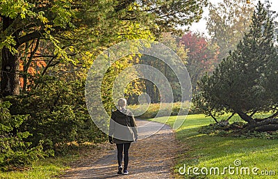 Woman walks in the park in autumn Stock Photo