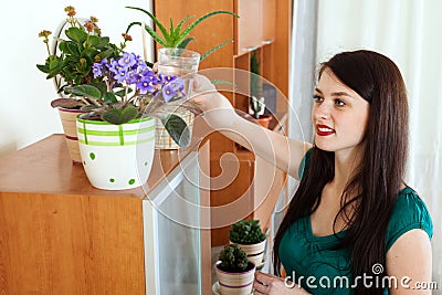 Woman watering flowers in pots at home Stock Photo