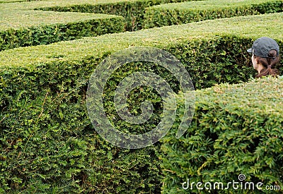 Woman wearing a baseball cap walks around lost in a giant labyrinth made of boxwood hedges Editorial Stock Photo
