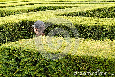 Woman wearing a baseball cap walks around lost in a giant labyrinth made of boxwood hedges Editorial Stock Photo