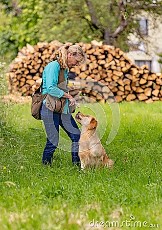 Woman talk to her Golden Retriever Dog Stock Photo