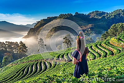 Woman wearing hill tribe dress in strawberry garden on Doi Ang Khang , Chiang Mai, Thailand. Stock Photo