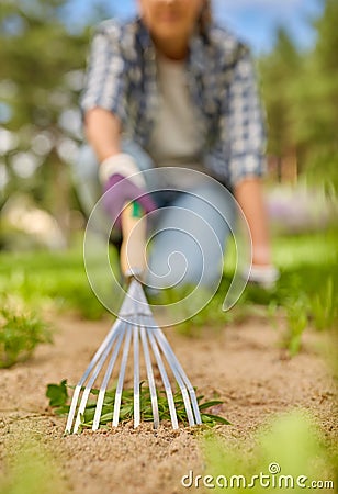 Woman weeding flowerbed with rake at summer garden Stock Photo