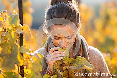 Woman winegrower inspecting grape vines in autumn vineyard Stock Photo