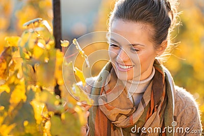 Woman winegrower inspecting vines in vineyard outdoors in autumn Stock Photo