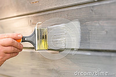 Woman worker painting wooden house exterior wall with paintbrush and wood protective color Stock Photo