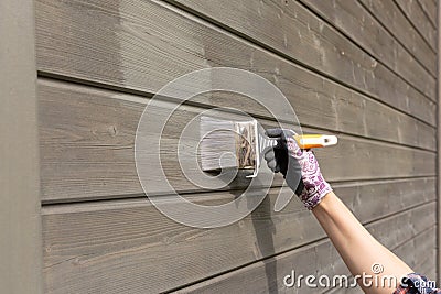 Woman worker painting wooden house exterior wall with paintbrush and wood protective color Stock Photo