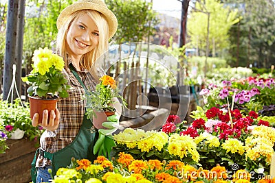 Woman working with flowers at a greenhouse. Stock Photo