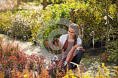Woman working in garden center Stock Photo