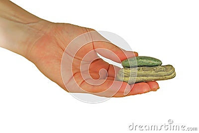 Womanish hand holds a round flat stone Stock Photo