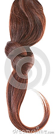 Women brown haired Stock Photo