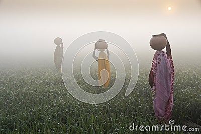 Indian women carrying pots of water walk through rice field in fog Editorial Stock Photo