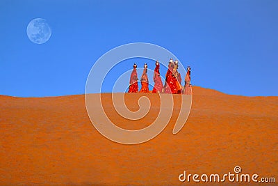 Women carrying water in the Thar desert - Rajasthan, India Stock Photo