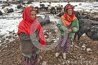 Women and children wake up in the morning to milk sheep, goats and yaks in very heavy snow conditions and very low temperatures at Editorial Stock Photo