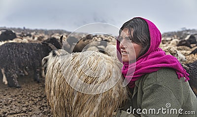 Women and children wake up in the morning to milk sheep, goats and yaks in very heavy snow conditions and very low temperatures at Editorial Stock Photo