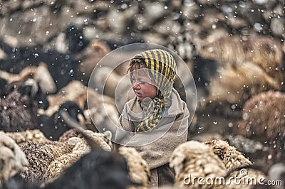 Women and children wake up in the morning to milk sheep, goats and yaks in very heavy snow conditions and very low temperatures at Editorial Stock Photo