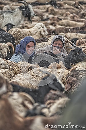 Women and children wake up in the morning to milk sheep, goats and yaks in very heavy snow conditions and very low temperatures at Editorial Stock Photo