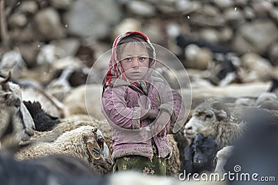 Women and children wake up in the morning to milk sheep, goats and yaks in very heavy snow conditions and very low temperatures at Editorial Stock Photo