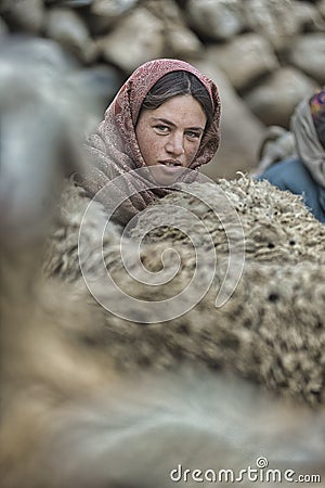 Women and children wake up in the morning to milk sheep, goats and yaks in very heavy snow conditions and very low temperatures at Editorial Stock Photo