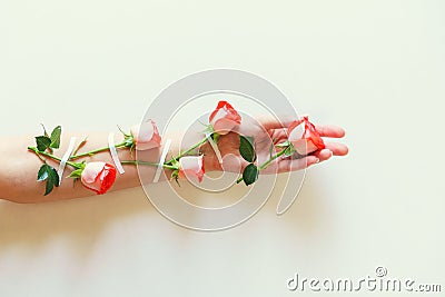 Women fashion hands of natural cosmetics, red roses, beautiful flowers Stock Photo