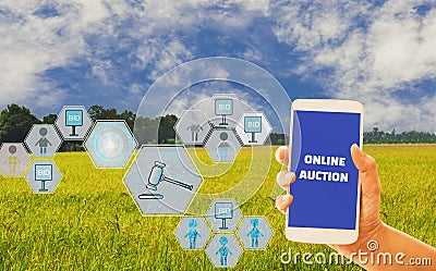 Women hand holding smartphone with auction icon for agricultural products, background of sky and organic fields, concept auction Stock Photo