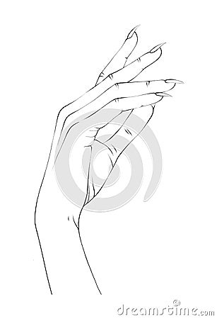 Women Hand in Thin Line Art. Minimalistic and Elegant Hand-Drawn Manicure Design for Female Beauty Cartoon Illustration