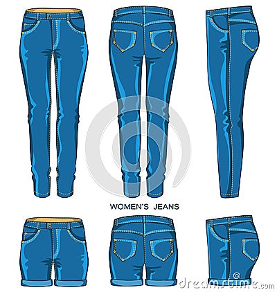 Women jeans pants and shorts Vector Illustration