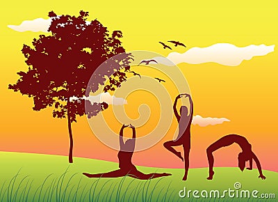 Women making gymnastics exercises on summer lawn Vector Illustration