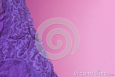 Women panties on pink. Violet women underwear on the pink background. Free space Stock Photo