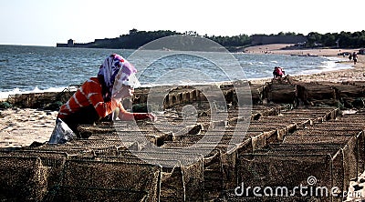 Women repairing fish cages by the sea Editorial Stock Photo