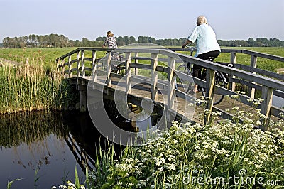 Women riding bike in polder landscape Editorial Stock Photo