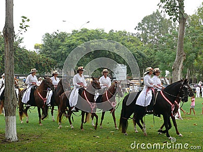 Women riding Peruvian Paso Horses, Lima Editorial Stock Photo