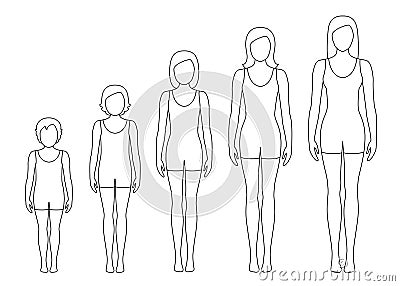 Women`s body proportions changing with age. Girl`s body growth stages. Vector contour illustration. Vector Illustration