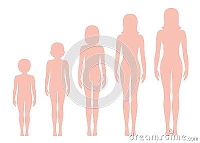 Women`s body proportions changing with age. Vector Illustration